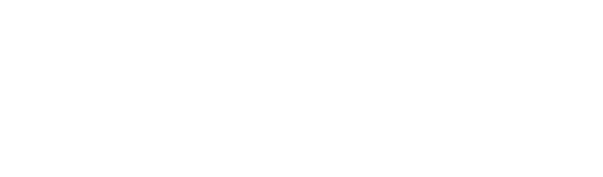 2021-msi-logo_w
