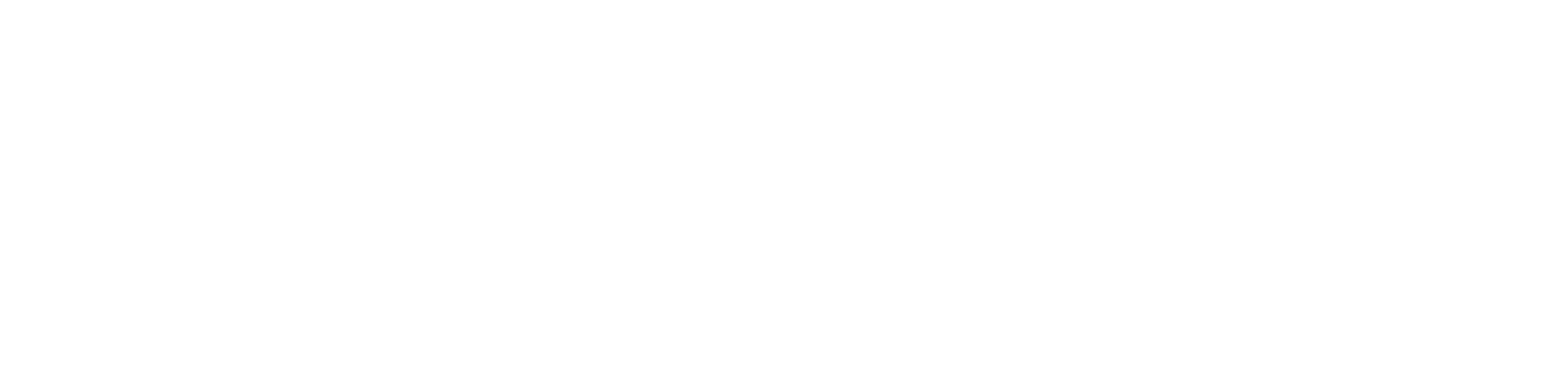 Acer_2011.svg