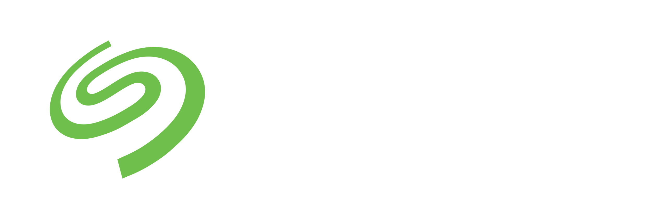 seagate2017_2c_horizontal_neg
